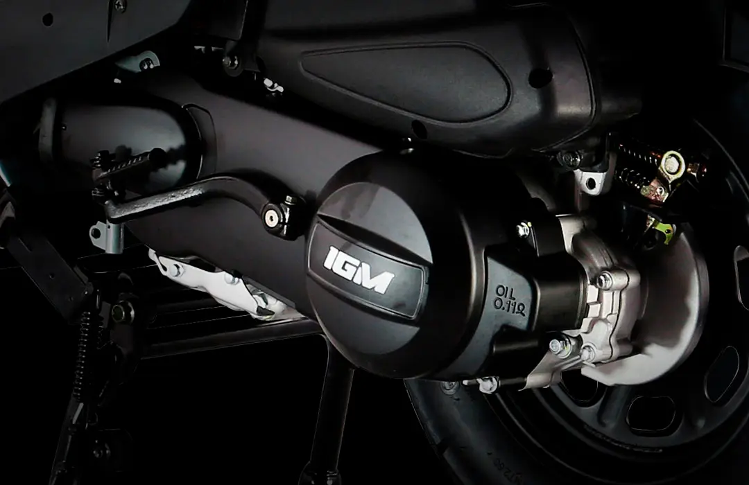 snake 125 motor a cadenilla igm